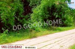 NI-884381 ที่ดินกวนวัน 251.5 ตร.ว. หนองคาย ใกล้วัดพระไชยเชษฐา-202505081705391746698739790.jpg