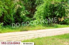 NI-884381 ที่ดินกวนวัน 251.5 ตร.ว. หนองคาย ใกล้วัดพระไชยเชษฐา-202505081705401746698740482.jpg