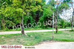 NI-884381 ที่ดินกวนวัน 251.5 ตร.ว. หนองคาย ใกล้วัดพระไชยเชษฐา-202505081705411746698741860.jpg