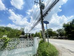 ขายบ้านเดี่ยว 1 ชั้น ถนนคลองสี่ตะวันออก37 คลองหลวง ปทุมธานี-202505081742301746700950413.jpg