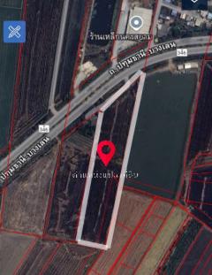 ขายที่ดิน 14 ไร่ อ.บางเลนติดถนนใหญ่-202505082026341746710794468.jpg
