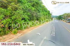 WR-783891 ที่ดินหาดใหญ่ 38 ไร่ 306.2 ตร.ว. สงขลา ใกล้มหาวิทยาลัยสงขลานครินทร์-202505082108421746713322760.jpg