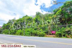WR-783891 ที่ดินหาดใหญ่ 38 ไร่ 306.2 ตร.ว. สงขลา ใกล้มหาวิทยาลัยสงขลานครินทร์-202505082108431746713323441.jpg