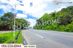 WR-783891 ที่ดินหาดใหญ่ 38 ไร่ 306.2 ตร.ว. สงขลา ใกล้มหาวิทยาลัยสงขลานครินทร์-202505082108441746713324124.jpg