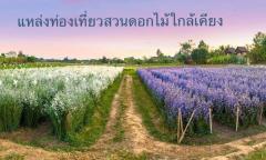 พลาดไม่ได้! ที่ดินถมแล้ว วิวภูเขาและวิวทุ่งนาสวย อ.เมือง เชียงใหม่ ใกล้ Central Festival 15 นาที-202505090619041746746344143.jpg