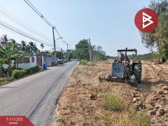 ขายที่ดิน เนื้อที่ 3 งาน 42.3 ตร.วา ท่ามะกา กาญจนบุรี-202505091215401746767740685.jpg