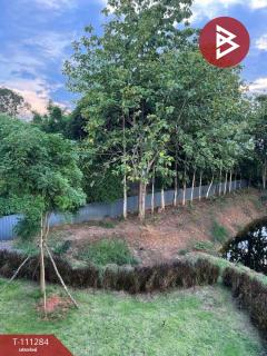 ขายบ้านเดี่ยวสไตล์รีสอร์ท เนื้อที่ 3 ไร่ 91.8 ตร.วา จอมบึง ราชบุรี-202505091248301746769710289.jpg