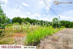 WR-783892 ที่ดินพะโต๊ะ 90 ตร.ว. ชุมพร ใกล้โรงพยาบาลพะโต๊ะ-202505091249221746769762711.jpg