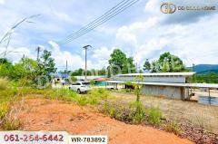WR-783892 ที่ดินพะโต๊ะ 90 ตร.ว. ชุมพร ใกล้โรงพยาบาลพะโต๊ะ-202505091249241746769764083.jpg