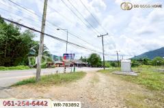 WR-783892 ที่ดินพะโต๊ะ 90 ตร.ว. ชุมพร ใกล้โรงพยาบาลพะโต๊ะ-202505091249251746769765440.jpg