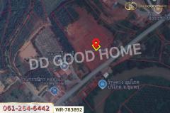 WR-783892 ที่ดินพะโต๊ะ 90 ตร.ว. ชุมพร ใกล้โรงพยาบาลพะโต๊ะ-202505091249261746769766107.jpg