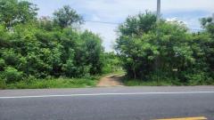 ขายที่ดินเปล่า 1 ไร่ อยู่ใกล้กับวัดหนองโรง อำเภอหนองแค จังหวัดสระบุรี-202505091426301746775590488.jpg