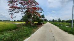 ขายที่ดินเปล่า 2 ไร่ อยู่ใกล้กับวัดหนองโรง คลองระพีพัฒน์ อำเภอหนองแค จังหวัดสระบุรี-202505091559181746781158545.jpg
