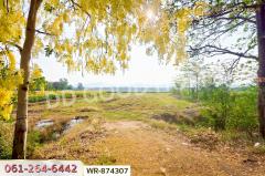 WR-874307 ที่ดินเมืองเพชรบูรณ์ 7 ไร่ 208.2 ตร.ว. ใกล้องค์การบริหารส่วนตำบลน้ำร้อน-202505091611161746781876551.jpg