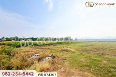 WR-874307 ที่ดินเมืองเพชรบูรณ์ 7 ไร่ 208.2 ตร.ว. ใกล้องค์การบริหารส่วนตำบลน้ำร้อน-202505091611171746781877234.jpg