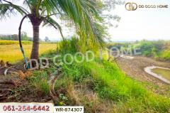 #Sinthavee Garden 1, Ban Chang *** New Renovation House for Rent ***-202505091611171746781877901.jpg