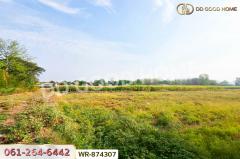 #Sinthavee Garden 1, Ban Chang *** New Renovation House for Rent ***-202505091611181746781878586.jpg