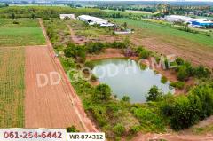 WR-874312 ที่ดินกบินทร์บุรี 17 ไร่ 74 ตร.ว. ปราจีนบุรี ใกล้สำนักงานเทศบาลตำบลเมืองเก่า-202505091638361746783516370.jpg