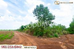 WR-874312 ที่ดินกบินทร์บุรี 17 ไร่ 74 ตร.ว. ปราจีนบุรี ใกล้สำนักงานเทศบาลตำบลเมืองเก่า-202505091638371746783517036.jpg