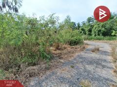 ขายที่ดิน เนื้อที่ 1 งาน 46.6 ตร.วา อัมพวา สมุทรสงคราม-202505091730461746786646933.jpg