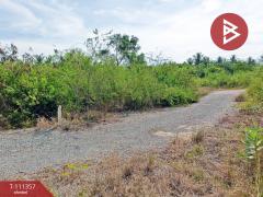 ขายที่ดิน เนื้อที่ 1 งาน 46.6 ตร.วา อัมพวา สมุทรสงคราม-202505091730481746786648213.jpg