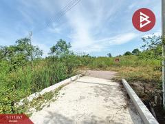 ขายที่ดิน เนื้อที่ 1 งาน 46.6 ตร.วา อัมพวา สมุทรสงคราม-202505091730481746786648855.jpg