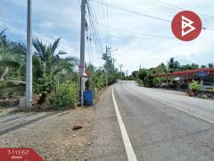 ขายที่ดิน เนื้อที่ 1 งาน 46.6 ตร.วา อัมพวา สมุทรสงคราม-202505091730491746786649488.jpg