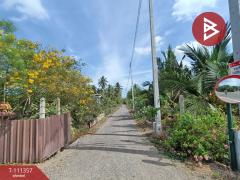 ขายที่ดิน เนื้อที่ 1 งาน 46.6 ตร.วา อัมพวา สมุทรสงคราม-202505091730501746786650124.jpg