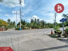 ขายที่ดิน เนื้อที่ 1 งาน 46.6 ตร.วา อัมพวา สมุทรสงคราม-202505091730501746786650768.jpg