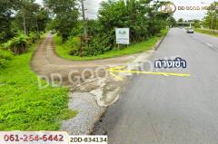 2DD-834134 ที่ดินพาน 1 ไร่ 388 ตร.ว. เชียงราย ใกล้ศูนย์เรียนรู้การพัฒนาสตรีและครอบครัว-202505091902451746792165849.jpg