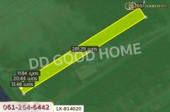 LK-814020 ที่ดินสรรพยา 3 ไร่ 393.7 ตร.ว. ชัยนาท ใกล้บริษัทไทยน้ำทิพย์-202505091934481746794088036.jpg