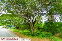 LK-814020 ที่ดินสรรพยา 3 ไร่ 393.7 ตร.ว. ชัยนาท ใกล้บริษัทไทยน้ำทิพย์-202505091934481746794088692.jpg
