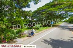 LK-814020 ที่ดินสรรพยา 3 ไร่ 393.7 ตร.ว. ชัยนาท ใกล้บริษัทไทยน้ำทิพย์-202505091934491746794089363.jpg