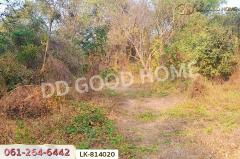 LK-814020 ที่ดินสรรพยา 3 ไร่ 393.7 ตร.ว. ชัยนาท ใกล้บริษัทไทยน้ำทิพย์-202505091934501746794090092.jpg
