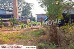 LK-814020 ที่ดินสรรพยา 3 ไร่ 393.7 ตร.ว. ชัยนาท ใกล้บริษัทไทยน้ำทิพย์-202505091934521746794092141.jpg