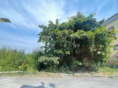 ขาย-ที่ดิน-ที่ดินแปลงสวย-ใกล้สุวรรณ