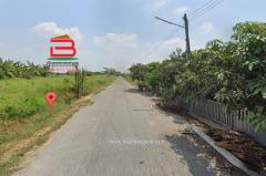 ที่ดินเปล่า (3 แปลง) หลังสถานีอนามัยบึงชำอ้อ คลองแปด เนื้อที่ 300 ตรว. ถนนรังสิต-นครนายก ตำบลบึงชำอ้อ อำเภอหนองเสือ จังหวัดปทุมธานี-202505101130471746851447419.jpg