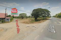 ที่ดินเปล่า (3 แปลง) หลังสถานีอนามัยบึงชำอ้อ คลองแปด เนื้อที่ 300 ตรว. ถนนรังสิต-นครนายก ตำบลบึงชำอ้อ อำเภอหนองเสือ จังหวัดปทุมธานี-202505101130501746851450134.jpg