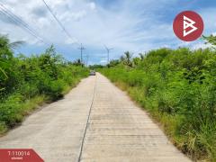 ขายที่ดิน เนื้อที่ 10 ไร่ 2 งาน 11 ตร.วา หัวไทร นครศรีธรรมราช-202505101219111746854351383.jpg