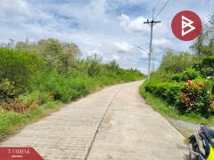 ขายที่ดิน เนื้อที่ 10 ไร่ 2 งาน 11 ตร.วา หัวไทร นครศรีธรรมราช-202505101219131746854353446.jpg