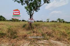 ที่ดินเปล่า หลังสถานีอนามัยบึงชำอ้อ คลองแปด เนื้อที่ 100 ตรว. ถนนรังสิต-นครนายก ตำบลบึงชำอ้อ อำเภอหนองเสือ จังหวัดปทุมธานี-202505101337551746859075598.jpg