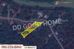 LK-884372 ที่ดินชุมแสง 2 ไร่ 171 ตร.ว. นครสวรรค์ ใกล้วัดดงกะพี้-202505101407101746860830736.jpg