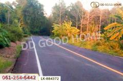 LK-884372 ที่ดินชุมแสง 2 ไร่ 171 ตร.ว. นครสวรรค์ ใกล้วัดดงกะพี้-202505101407111746860831866.jpg