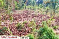 LK-884372 ที่ดินชุมแสง 2 ไร่ 171 ตร.ว. นครสวรรค์ ใกล้วัดดงกะพี้-202505101407121746860832538.jpg