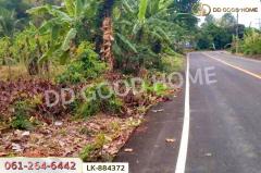 LK-884372 ที่ดินชุมแสง 2 ไร่ 171 ตร.ว. นครสวรรค์ ใกล้วัดดงกะพี้-202505101407131746860833732.jpg