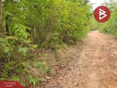 ขายที่ดิน เนื้อที่ 1 ไร่ 2 งาน 61 ตร.วา นาหว้า นครพนม-202505101553011746867181336.jpg