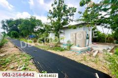 LK-814022 ที่ดินพร้อมสิ่งปลูกสร้างหนองจอก 2 ไร่ 62 ตร.ว. ถ.สุวินทวงศ์ 110 ใกล้สถานีตำรวจนครบาลสุวินทวงศ์-202505101814311746875671869.jpg
