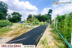 LK-814022 ที่ดินพร้อมสิ่งปลูกสร้างหนองจอก 2 ไร่ 62 ตร.ว. ถ.สุวินทวงศ์ 110 ใกล้สถานีตำรวจนครบาลสุวินทวงศ์-202505101814321746875672547.jpg