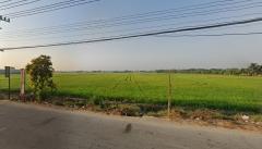 ที่ดิน47ไร่ พื้นที่สีเขียวลาย หน้ากว้าง 139ม. ถนน3004 กรุงนนท์-จงถนอม ตำบล นราภิรมย์ อำเภอบางเลน นครปฐม  0948216456 47 -202505101903431746878623536.jpg
