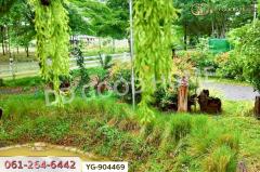 YG-904469 ที่ดินพร้อมสิ่งปลูกสร้างไทรโยค 1 ไร่ 342.2 ตร.ว. กาญจนบุรี ใกล้วัดเขาน้อยชินราช-202505111432231746948743898.jpg